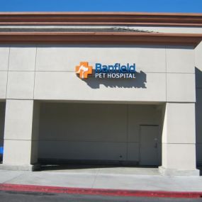 Banfield Pet Hospital – San Diego