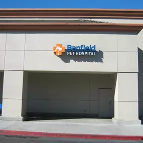 Banfield Pet Hospital – San Diego