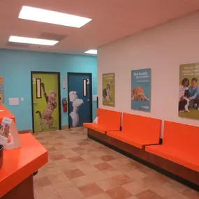 Bild von Banfield Pet Hospital