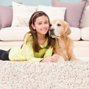 Our processes and products are safe for your children and pets!