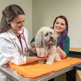 Bild von Banfield Pet Hospital