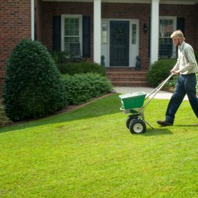 Stockton Wells Spring-Green Lawn Care Irmo