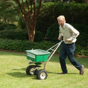 Stockton Wells Spring-Green Lawn Care Irmo