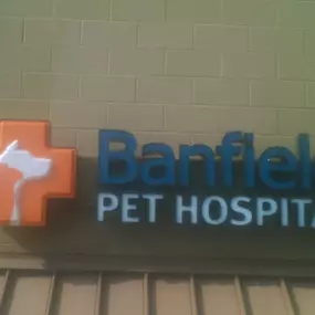 Banfield Pet Hospital® - Little Rock