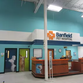 Bild von Banfield Pet Hospital