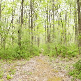 Bild von Appalachian Campground