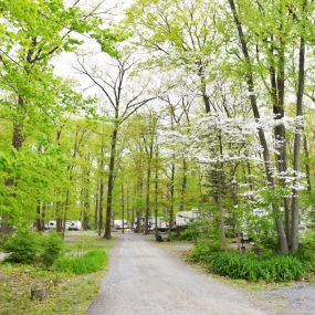 Bild von Appalachian Campground