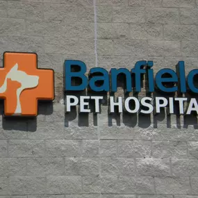 Banfield Pet Hospital - Kennesaw