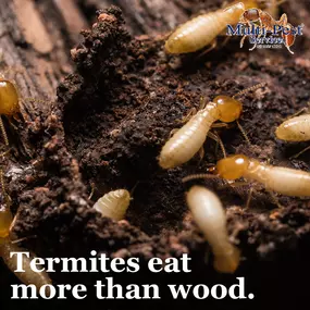 Multi-Pest Services has been proudly serving West Georgia and East Alabama for over 40 years.