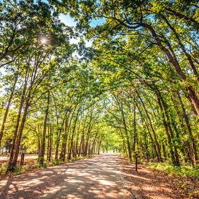 Bild von Thousand Trails Lake Tawakoni