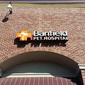 Banfield Pet Hospital® - Roswell