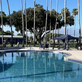 Bild von Encore Alamo Palms