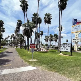 Bild von Encore Alamo Palms