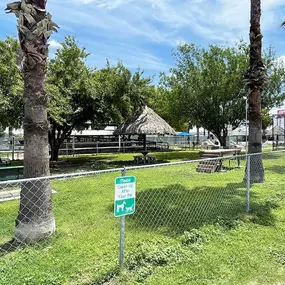 Bild von Encore Alamo Palms