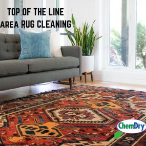 Ace Chem-Dry cleans and renews area and oriental rugs. Enjoy the vibrant colors of all rugs again with a simple rug cleaning.