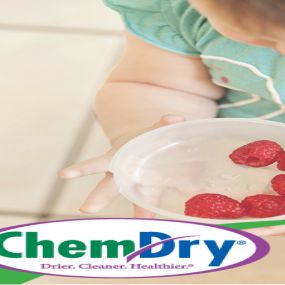 Tile and Grout can harbor harmful bacteria that continually builds up overtime. Ace Chem-Dry can remove 98% of that bacteria. Keep your home clean and healthy. Schedule an appointment with Ace Chem-Dry today.