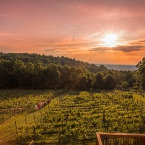 Bild von Twin Oaks Tavern Winery