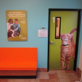 Bild von Banfield Pet Hospital