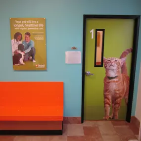 Bild von Banfield Pet Hospital