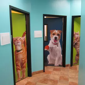 Bild von Banfield Pet Hospital