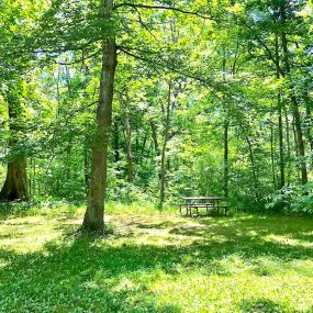 Bild von Yukon Trails Campground