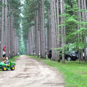 Bild von Yukon Trails Campground