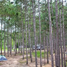 Bild von Yukon Trails Campground