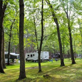 Bild von Yukon Trails Campground