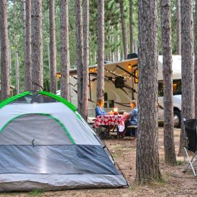 Bild von Yukon Trails Campground