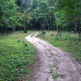 Bild von Yukon Trails Campground