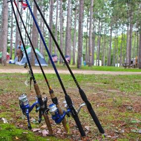 Bild von Yukon Trails Campground