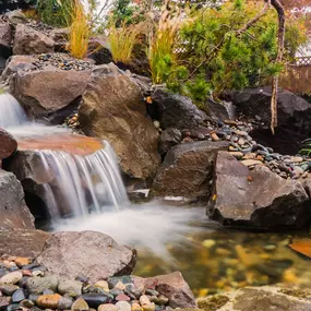 A Greenhaven Landscapes-designed water feature - a Vancouver WA backyard waterfall with large stones and pebbles along the bank and shrubbery running up the hillside