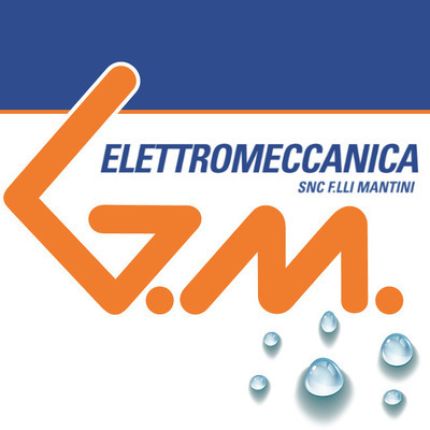 Logo de Elettromeccanica G.M. dei F.lli Mantini Snc