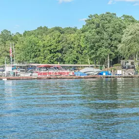 Bild von Tega Cay Marina & Boat Rentals