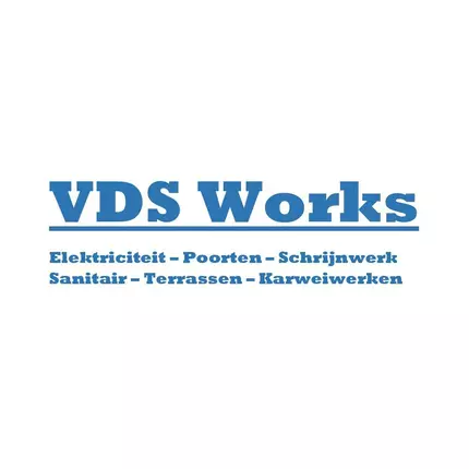 Logotipo de VDS Works