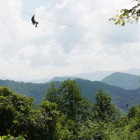 Navitat Canopy Adventures