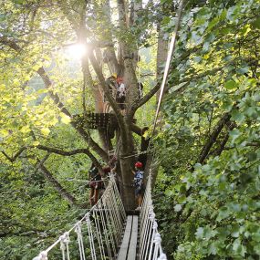 Navitat Canopy Adventures