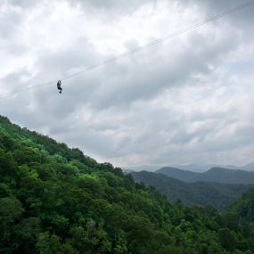 Navitat Canopy Adventures