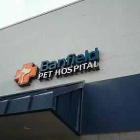 Banfield Pet Hospital - Jacksonville (Regency Square Mall)