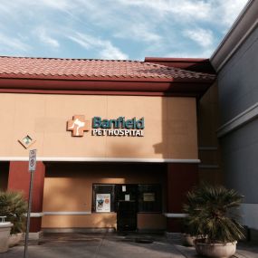 Banfield Pet Hospital - Las Vegas Rainbow