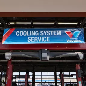 Bild von Tire Discounters