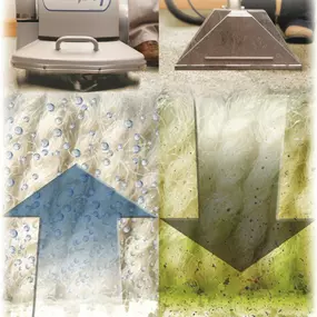 Unlike steam cleaning, we do not force water down into the base of your carpet.
