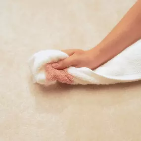 We offer specialty stain removal services- if we can't get it out, no one can!