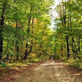 Bild von Plymouth Rock Campground