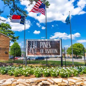 Bild von Pines of Ashton Apartments