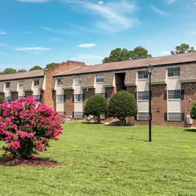 Bild von Pines of Ashton Apartments