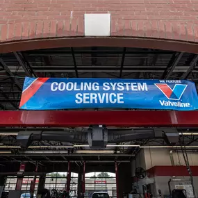 Bild von Tire Discounters