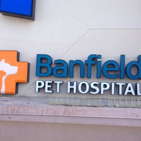 Banfield Pet Hospital® - Summerlin