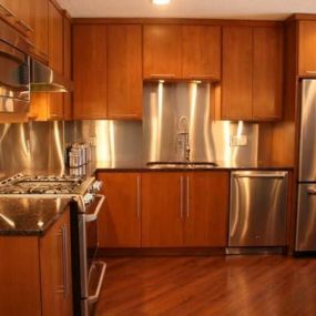 Northland Cabinets, Inc, Maple Grove, MN Sleek Modern Kitchen Eligance