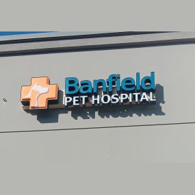 Banfield Pet Hospital - Norman